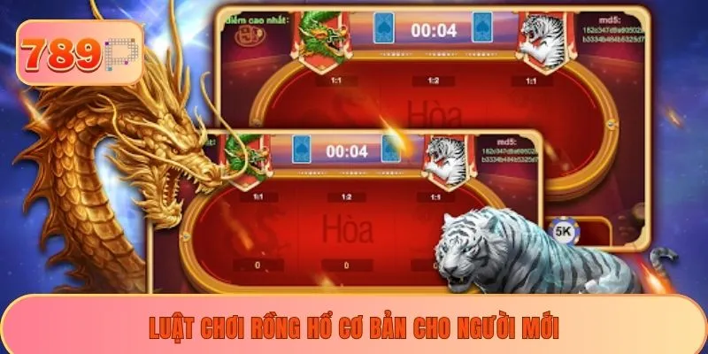 Luật chơi Rồng hổ cơ bản cho người mới